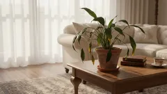 Listy visí a žloutnou? Nepospíchejte s zaléváním – zjistěte skutečnou příčinu